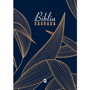 Bíblia RA 063M NC - Folhas - capa dura 