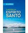 Mistério do Espírito Santo, O