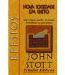 EB John Stott - Efésios